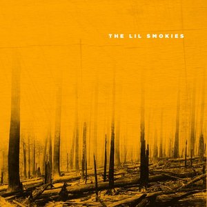 Image for 'The Lil Smokies'