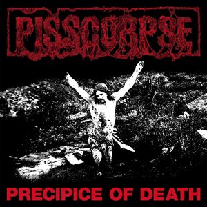 “PRECIPICE OF DEATH”的封面