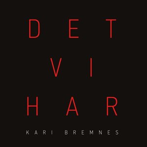 Image for 'Det vi har'