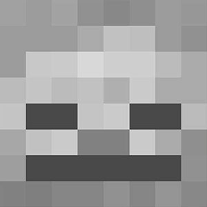 Image for 'I've Got a Bone (Minecraft Skeleton Rap)'