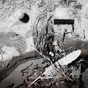 Image for 'Secrets of the Beehive (Remastered 2003)'