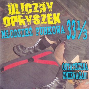 Изображение для 'Młodzież Punkowa 33 i 1/3'