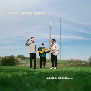 Imagen de 'Acoustic Soul'