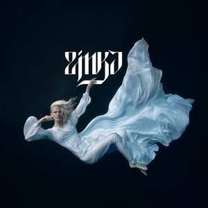 “ZINKA”的封面