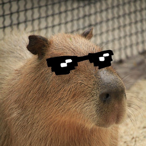 Capydo