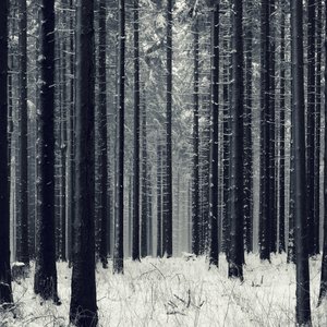 'Longing'の画像