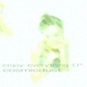Image for 'Enjoy Everything'