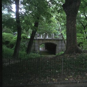 “roads”的封面