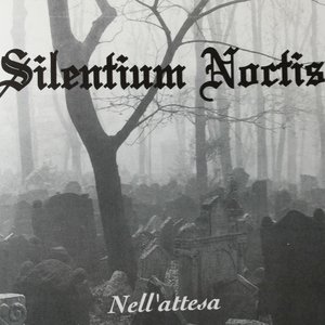 “Silentium Noctis”的封面