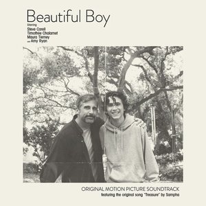 Immagine per 'Beautiful Boy'