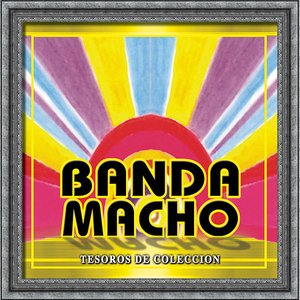 Image for 'Tesoros De Coleccion - Banda Macho'