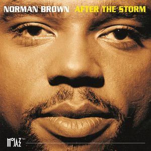 Image for 'After The Storm'