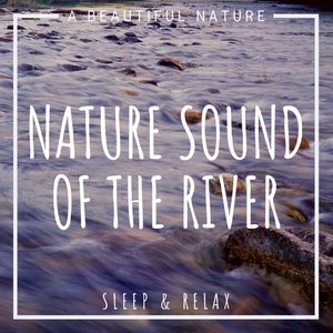Image for 'Nature Sound of the River: Sleep & Relax'
