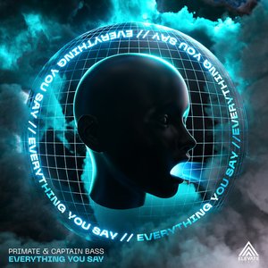 Image for 'Everything You Say'