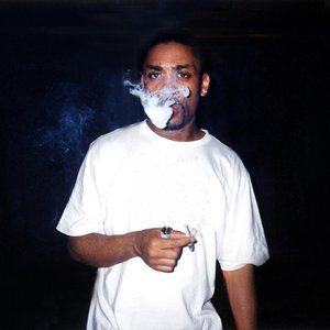 Immagine per 'Wiley'