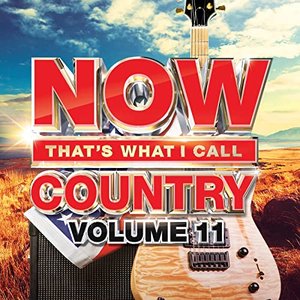 Imagem de 'NOW That's What I Call Country Vol. 11'