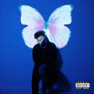 Image for 'The Butterfly Effect'