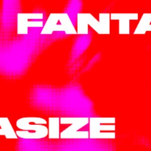 Image for 'Fantasize'