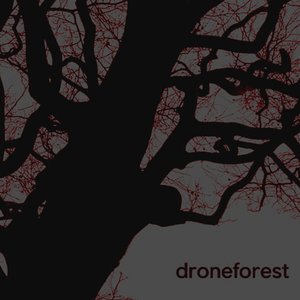 Image pour 'Drone Forest'