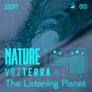 Image for 'Soothing Ocean Sounds'