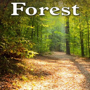“Forest - Sounds of Nature”的封面