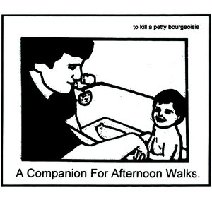 Image for 'A Companion For Afternoon Walks'