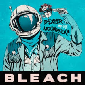 “Bleach”的封面