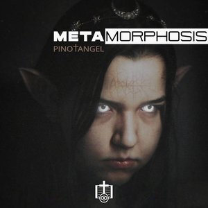 “Metamorphosis”的封面