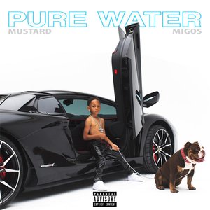 'Pure Water (with Migos)'の画像