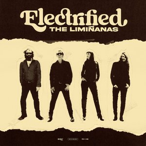 Imagen de 'Electrified (Best-of 2009 - 2022)'