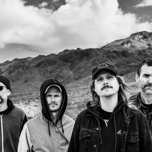 “Pelican”的封面