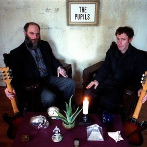 Image for 'The Pupils'