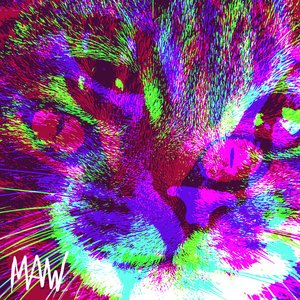 Image for 'MAW LP'