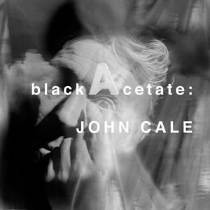 Image for 'Black Acetate'