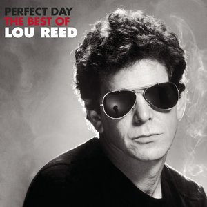 Image for 'Perfect Day'