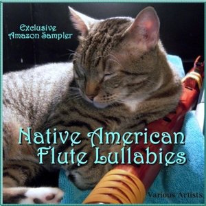 “Native American Flute Lullabies”的封面