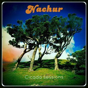 Изображение для 'Cicada sessions'