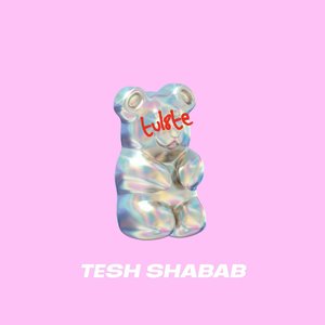 Image for 'TESH SHABAB'
