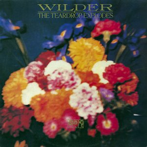 Image for 'Wilder (Remastered Expanded Edition)'