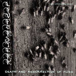 Image for 'death and resurrection of flies'