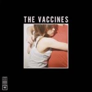 Bild für 'What Did You Expect From The Vaccines? [Explicit]'