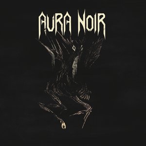 Image for 'Aura Noire'