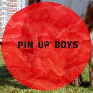 Bild für 'Pin Up Boys'