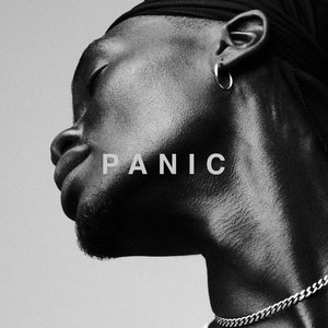 Image for 'PANIC'