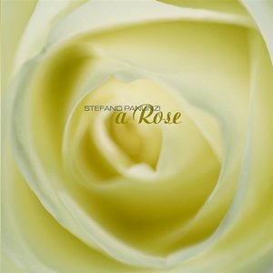 Image pour 'A Rose'