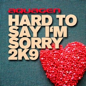 Image for 'Hard To Say I'm Sorry 2K9'