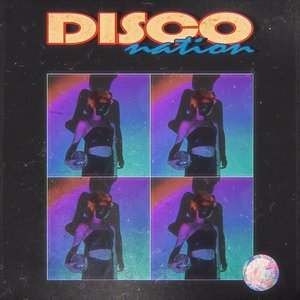 Image for 'disco nation'
