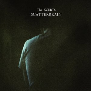 'Scatterbrain'の画像