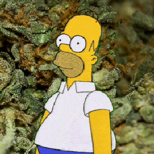 koeniq