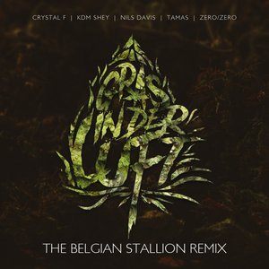 “Gras in der Luft (The Belgian Stallion Remix)”的封面